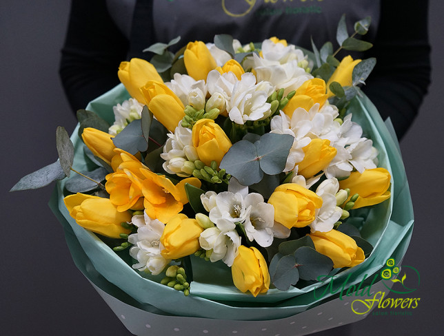 Букет из жёлтых тюльпанов и белых фрезий Фото